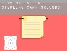 Criminaliste à  Sterling Camp Grounds