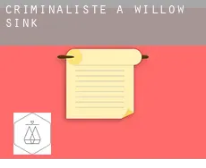 Criminaliste à  Willow Sink