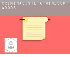 Criminaliste à  Windsor Woods