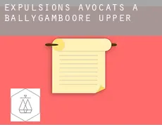 Expulsions avocats à  Ballygamboore Upper