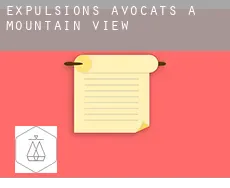 Expulsions avocats à  Mountain View