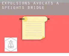 Expulsions avocats à  Speights Bridge