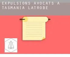 Expulsions avocats à  Latrobe (Tasmania)