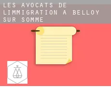 Les avocats de l'immigration à  Belloy-sur-Somme
