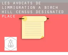 Les avocats de l'immigration à  Birch Hill