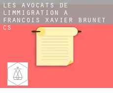 Les avocats de l'immigration à  François-Xavier-Brunet (census area)