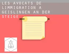 Les avocats de l'immigration à  Geislingen an der Steige
