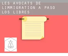 Les avocats de l'immigration à  Paso de los Libres