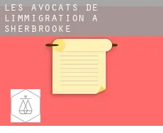 Les avocats de l'immigration à Sherbrooke