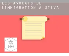 Les avocats de l'immigration à  Silva