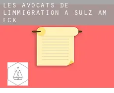 Les avocats de l'immigration à Sulz am Eck