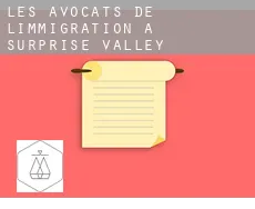 Les avocats de l'immigration à  Surprise Valley