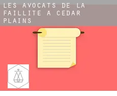Les avocats de la faillite à  Cedar Plains