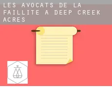 Les avocats de la faillite à  Deep Creek Acres