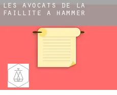 Les avocats de la faillite à Hammer