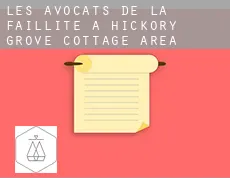 Les avocats de la faillite à Hickory Grove Cottage Area