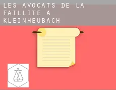 Les avocats de la faillite à  Kleinheubach