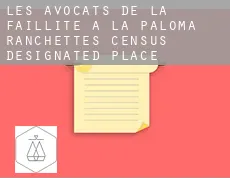 Les avocats de la faillite à  La Paloma Ranchettes
