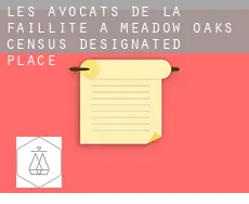Les avocats de la faillite à  Meadow Oaks