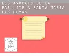 Les avocats de la faillite à  Santa María de las Hoyas