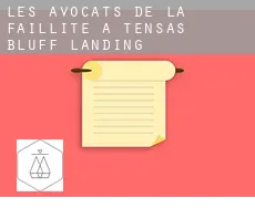 Les avocats de la faillite à  Tensas Bluff Landing