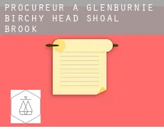 Procureur à  Glenburnie-Birchy Head-Shoal Brook