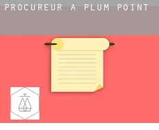 Procureur à Plum Point