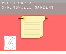Procureur à  Springfield Gardens