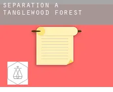 Séparation à  Tanglewood Forest