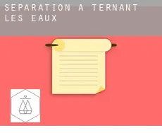 Séparation à  Ternant-les-Eaux