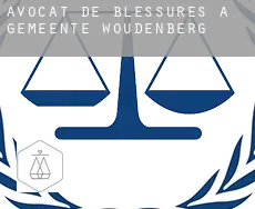 Avocat de blessures à  Gemeente Woudenberg