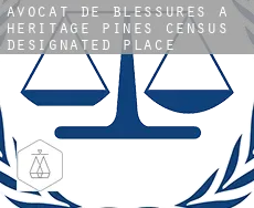 Avocat de blessures à Heritage Pines