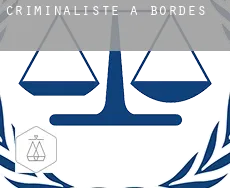 Criminaliste à Bordes
