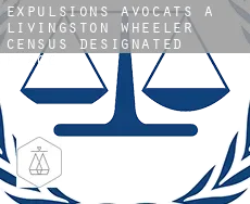 Expulsions avocats à  Livingston Wheeler