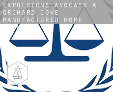 Expulsions avocats à  Orchard Cove Manufactured Home Community