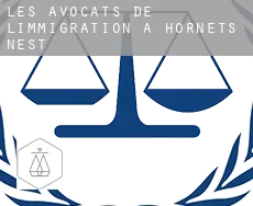 Les avocats de l'immigration à Hornets Nest