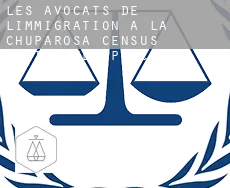 Les avocats de l'immigration à La Chuparosa