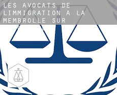 Les avocats de l'immigration à  La Membrolle-sur-Longuenée
