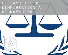 Les avocats de l'immigration à Schwobsheim