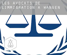 Les avocats de l'immigration à Wangen