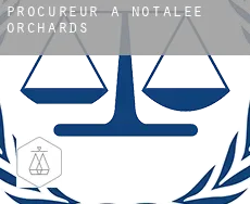 Procureur à  Notalee Orchards