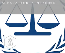 Séparation à  Meadows
