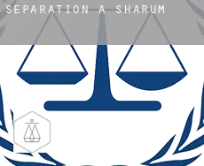 Séparation à  Sharum
