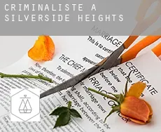 Criminaliste à  Silverside Heights