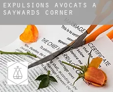 Expulsions avocats à  Saywards Corner