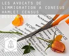 Les avocats de l'immigration à  Conesus Hamlet