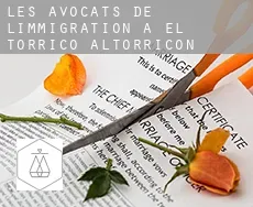 Les avocats de l'immigration à  el Torricó / Altorricon