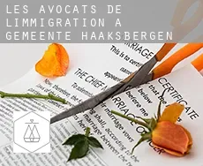 Les avocats de l'immigration à Gemeente Haaksbergen