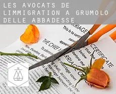 Les avocats de l'immigration à  Grumolo delle Abbadesse