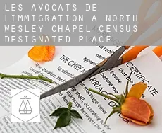 Les avocats de l'immigration à  North Wesley Chapel